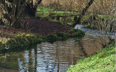 Monuments et Sites de l’Eure n°175